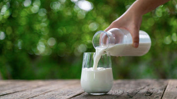 A2 Milk: The Purest Form of Dairy Nutrition