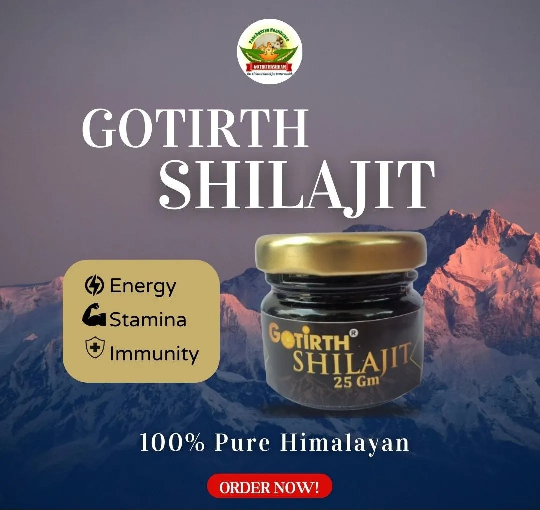 Gotirth Pure Himalayan Shilajit, 25gm front view