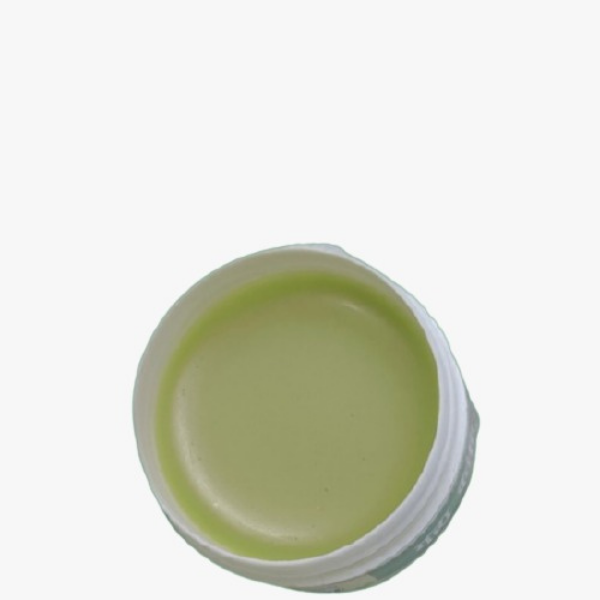 Surbhi Panchagavya Lip Balm, 10gm