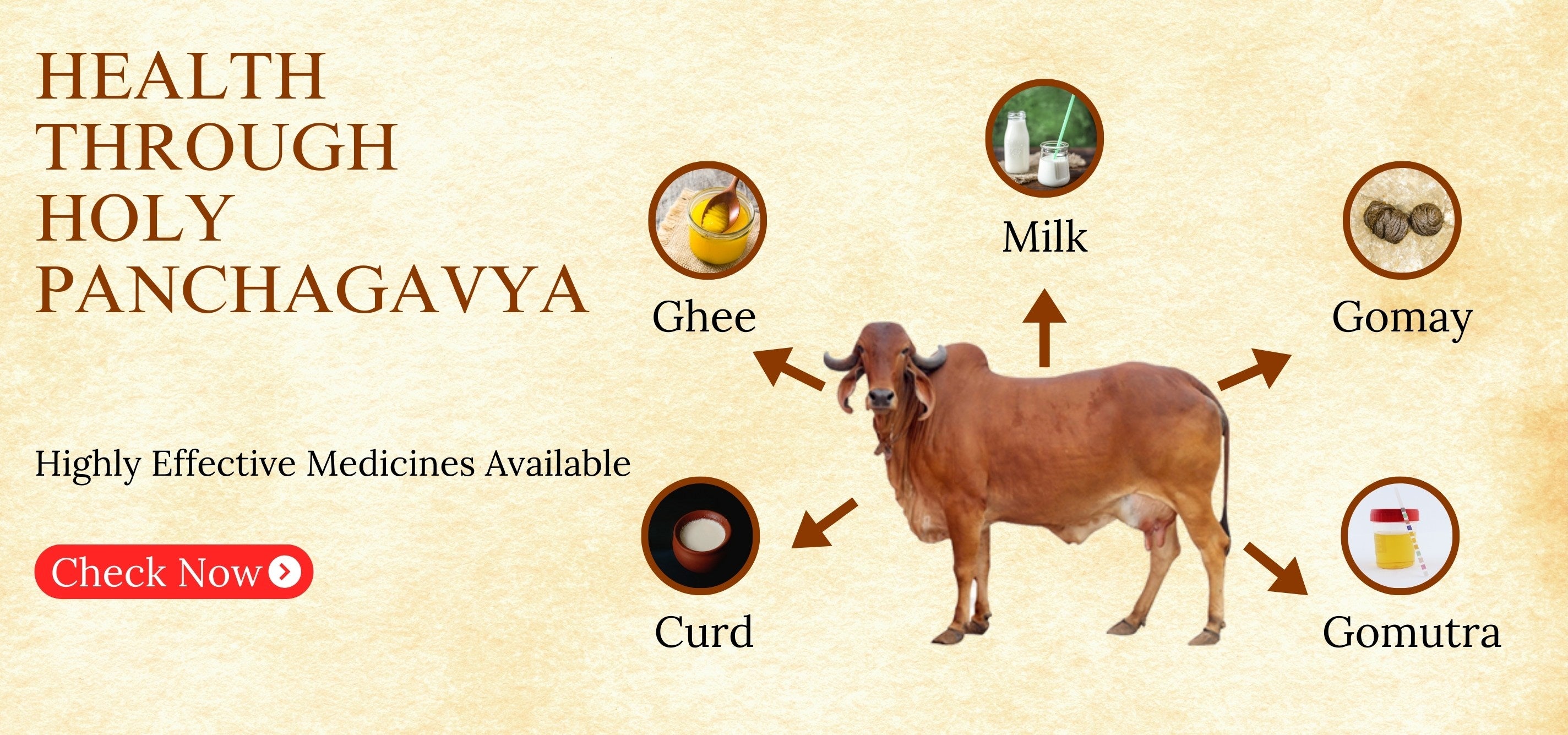 slider image 1621243260e1af0c20-2