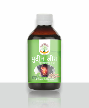 Gau Sanskruti Pudin Jeera Syrup | Ayurvedic Digestive Syrup for Gas, Acidity, Indigestion & Bloating | Herbal Digestive Tonic, 200ml